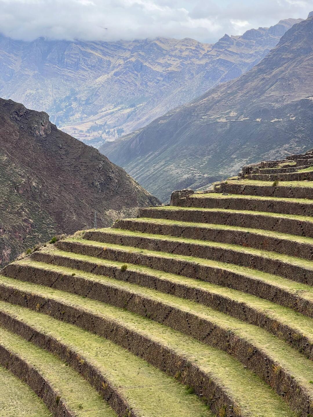 Inca terraces. Look very carefully to spot the zigzag stone steps up the terrace walls