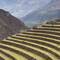 Inca terraces. Look very carefully to spot the zigzag stone steps up the terrace walls