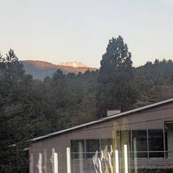 Blick beim Frühstück