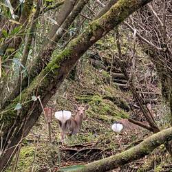 Netter Po. Und so unauffällig 😂