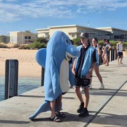 Einen haben wir doch gesehen