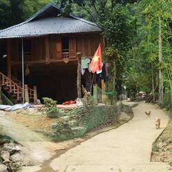 Beautiful wood houses on stilts