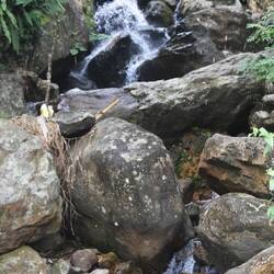 Lots of little falls along the road