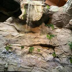 Der Eingangsbereich mit einem Wasserfall , es gibt ca 300 in North Carolina!