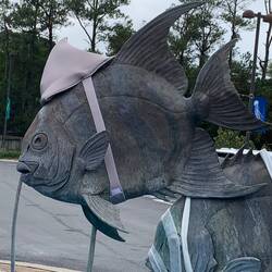 Ein Besuch in einem Aquarium. Auch dort alles auf Halloween geschmückt!