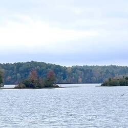 I called this award-worthy image "Three Lumps In A Lake"