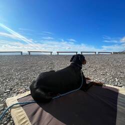 Sonne genießen 🐾💓