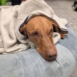 Auch Kaisa ist kalt.