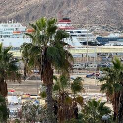 ... bei genauem Hinsehen findet ihr die Vans im Fährhafen