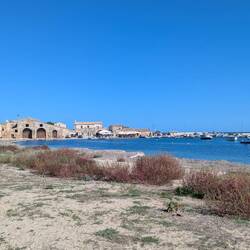 Alte Tunfischhalle im Hintergrund