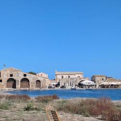 Alte Tunfischhalle im Hintergrund