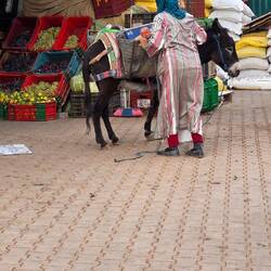 Some go shopping by car, others by donkey