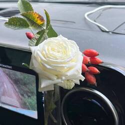 Our "flowers of the day"