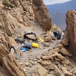 And suddenly at 3005 meters barbaries with their donkeys. They were going to the next valley!