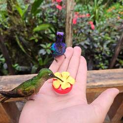 In unterschiedlichen Farben und Größen 😍