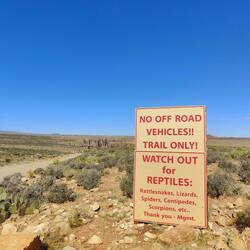 Hab leider keine Schlangen gesehen.