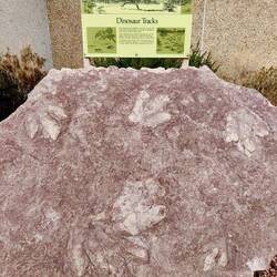 Sieht aus wie riesige Vogelfußabdrücke