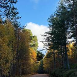 Cairngorms National Park