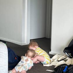 Manchmal spielen sie schon schön ruhig miteinander 🥰