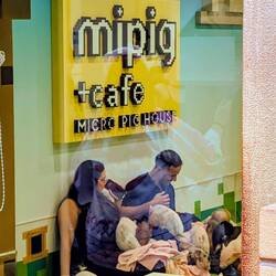 They have animal petting cafes here. Of course they do