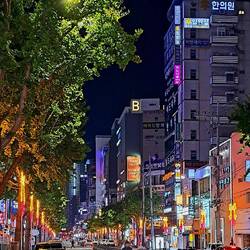 Getting ready for Christmas even earlier than we do!