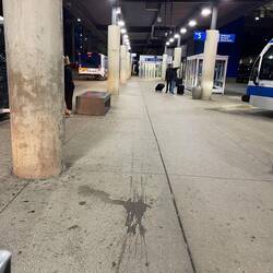 Hotel shuttle pick-up area