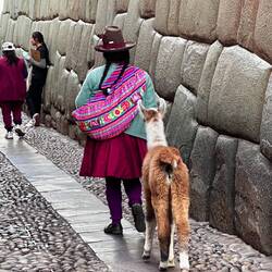 Überall immer kleine Alpakas für Touris... 🤷🏽‍♀️
