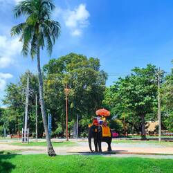 Ayutthaya Elephant Palace & Royal Kraal