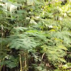 Ein wilde Busfahrt😅