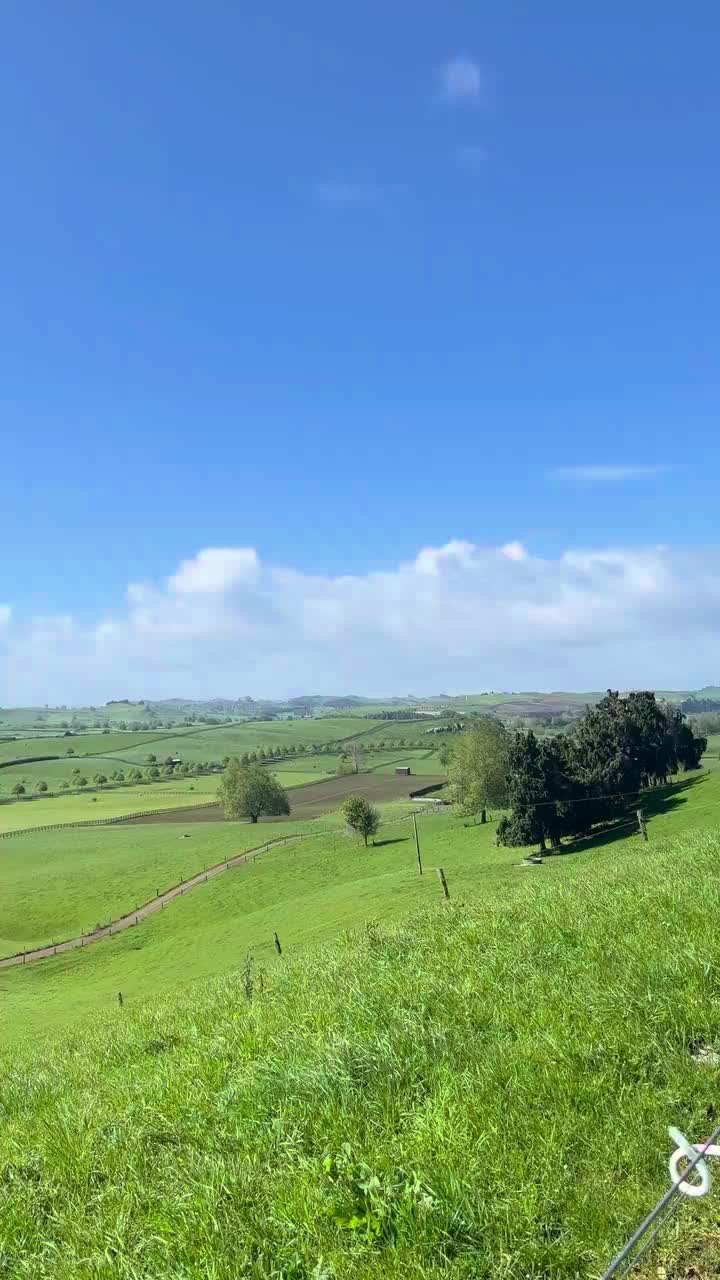 Der Ausblick aus dem Airbnb