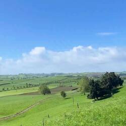 Der Ausblick aus dem Airbnb