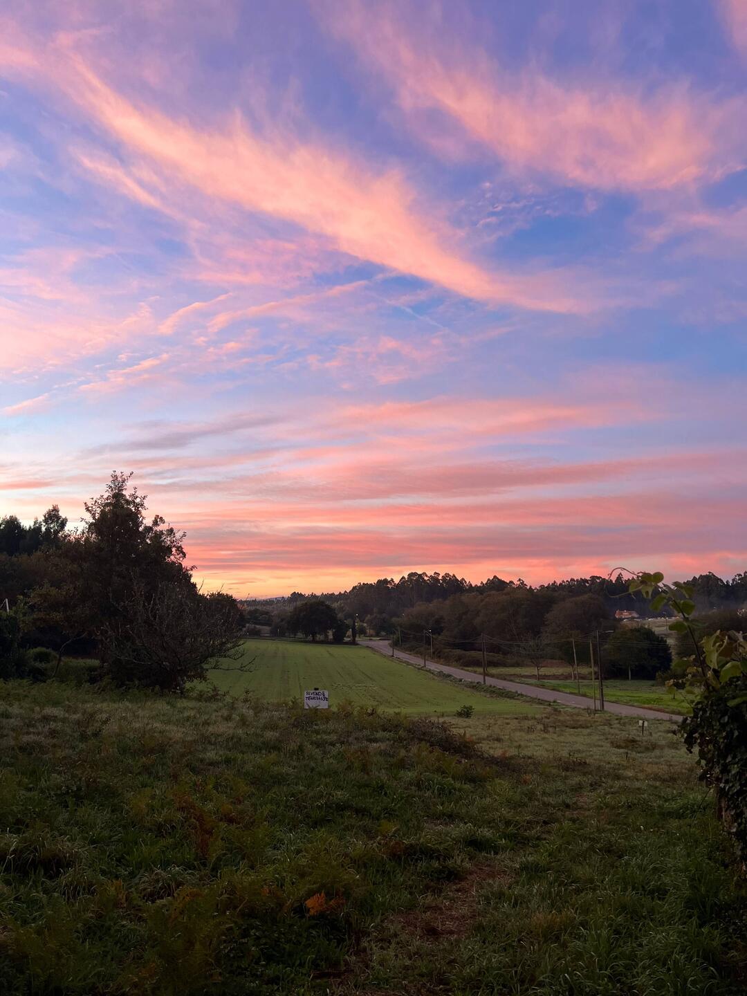We left early today to try to beat the rain into Santiago. We booked it today! 21 km in about 4 hrs.
