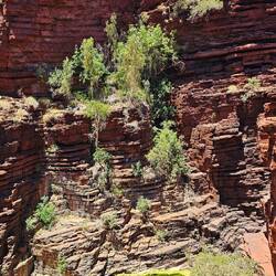 Abstieg in den Gorge