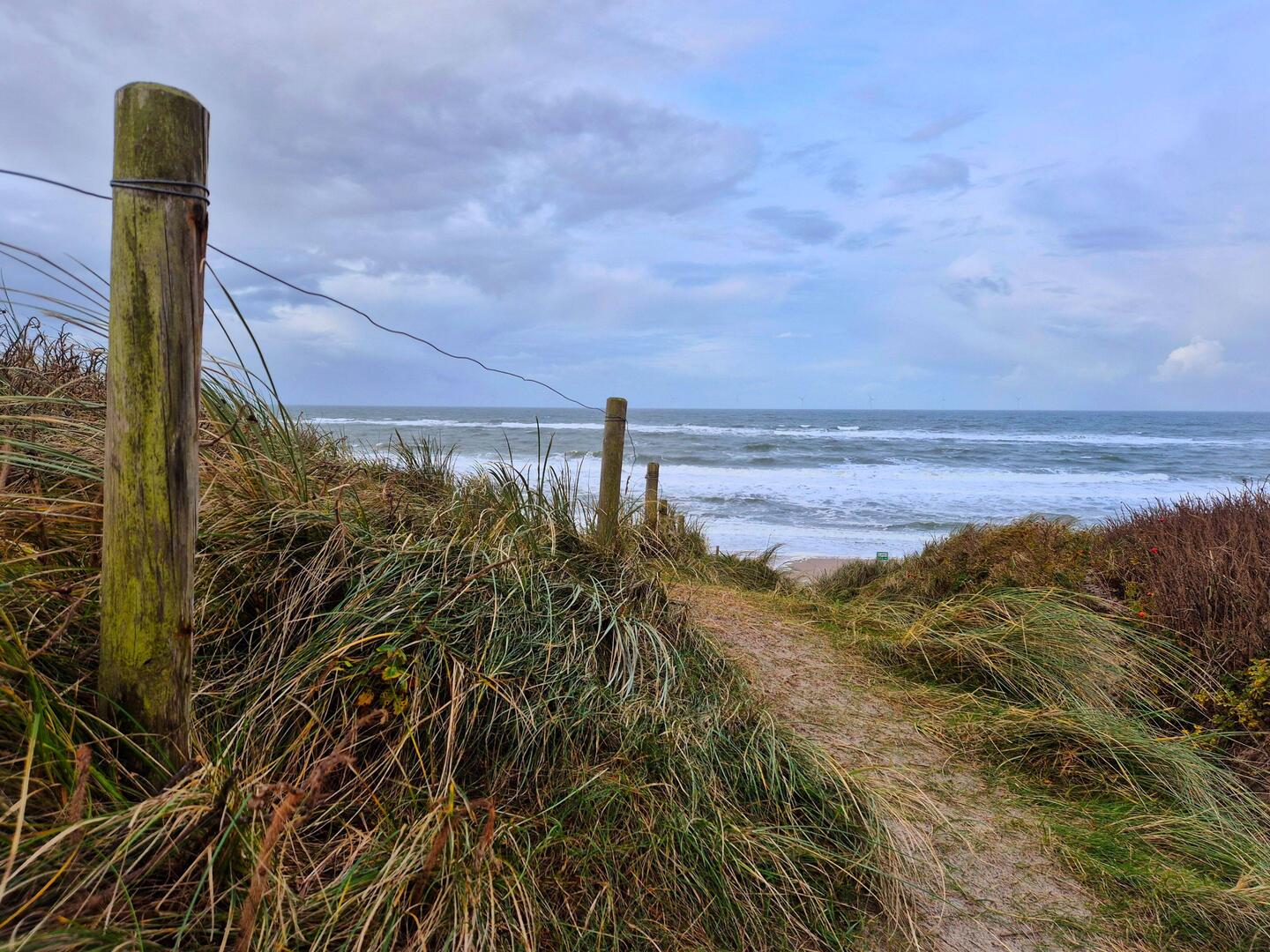 viele Wege führ'n ans 🌊 Meer