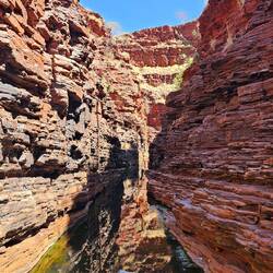 Weg zum Kermit’s Pool