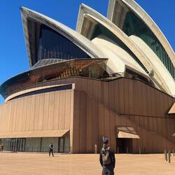 Lilz likened the shells to a whale baleen