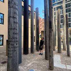 ‘Edge of the trees’ by Janet Laurence and Fiona Foley (1995)