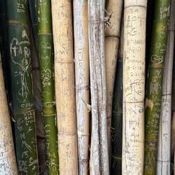 Sydney Botanic Garden graffiti