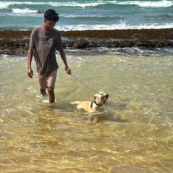 Marley's brotha from another motha.