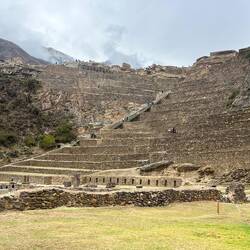 The main area of terracing