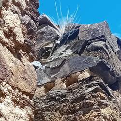 The beams holding the top of windows were planted in mortar -- the holes have survived to this day!