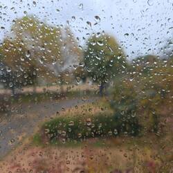 Regen, Regen stört uns nicht...