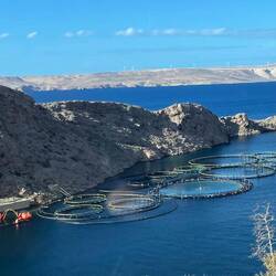 Fischzucht (vorwiegend Wolfsbarsch und Goldbrasse)