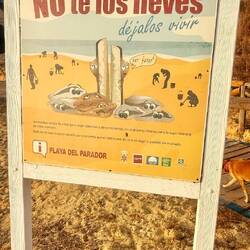 Ne les emportez pas, laissez les vivre