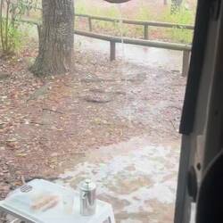 Le lendemain plus de chevaux 😅☔️