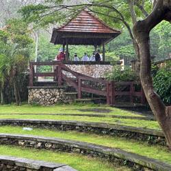 Sheltering from a downpour