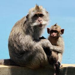 Butter wouldn't melt in their mouth