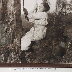 Es gab unter den Baumkletterern auch Frauen