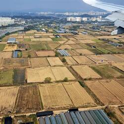 Interesting combination of clustered, high-rise housing & farmland.