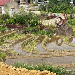 Happy home's waterwheels